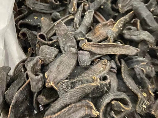 GA黄金甲制品