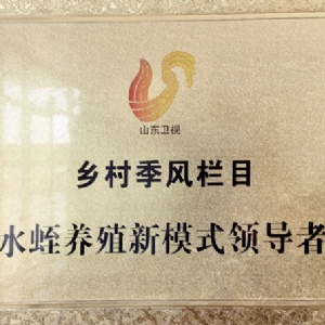 资质荣誉