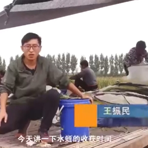 GA黄金甲收成功夫